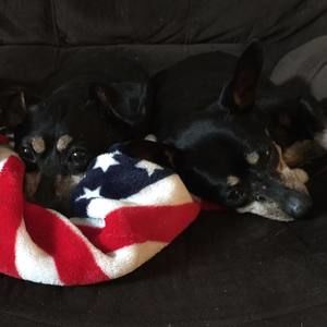 Meet your Posher, J.g.